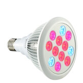 Lámpara LED PL-GL 01 E27 12W/24W para el crecimiento de plantas en jardines, hidroponía y invernaderos orgánicos
