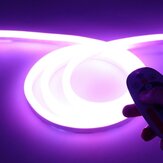 Ruban LED flexible néon RGB 220V 8*16mm Bande lumineuse LED étanche 5050 Tube néon flexible IP65 Lampe multicolore à cordes pour la décoration de Noël DIY à la maison