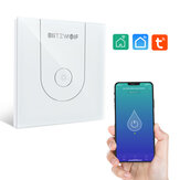 BlitzWolf® BW-SS10 3000W WiFi Smart Water Heater Switch Panel Touch Touch Panel Χρονοδιάγραμμα APP Τηλεχειριστήριο Φωνητικός έλεγχος Λειτουργεί με την Amazon Alexa και τον Βοηθό Googl