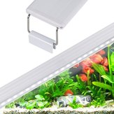 Luce LED per acquario da 4/6/8W, illuminazione per pesci, piante, coralli e lampada marina
