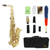 SLADE LD-896 Saxofón Alto de Tubería de Latón en Mi bemol con Estuche y Herramientas de Limpieza