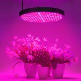 250 LED 50W ضوء النمو UFO طيف كامل الخضار الزهور المصباح الداخلي للنباتات لوحة