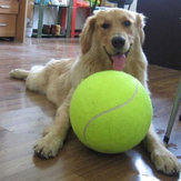 24cm Big Giant Pet Dog Puppy Tennis Ball Thrower Chucker Launcher Pet Toys