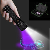 XANES® 295 2 Modi LED Taschenlampe + Violett UV Taschenlampe Fluoreszenzdetektionslicht Zoombare Arbeitslampe