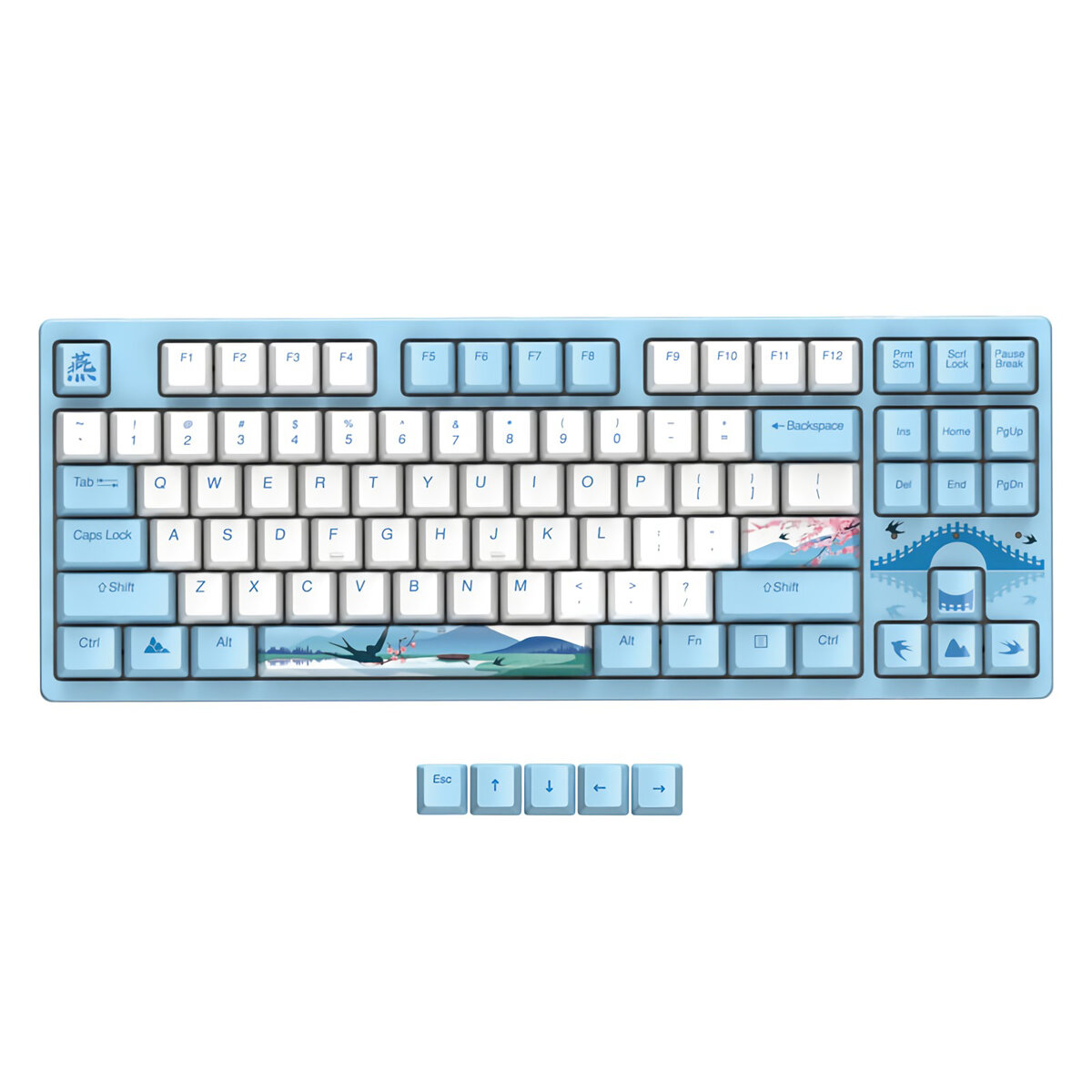 DAREU A87 Mechanical Keyboard Swallow Theme Wired Ice Blue Backlight 87 Keys Cherry MX Switch Blue P