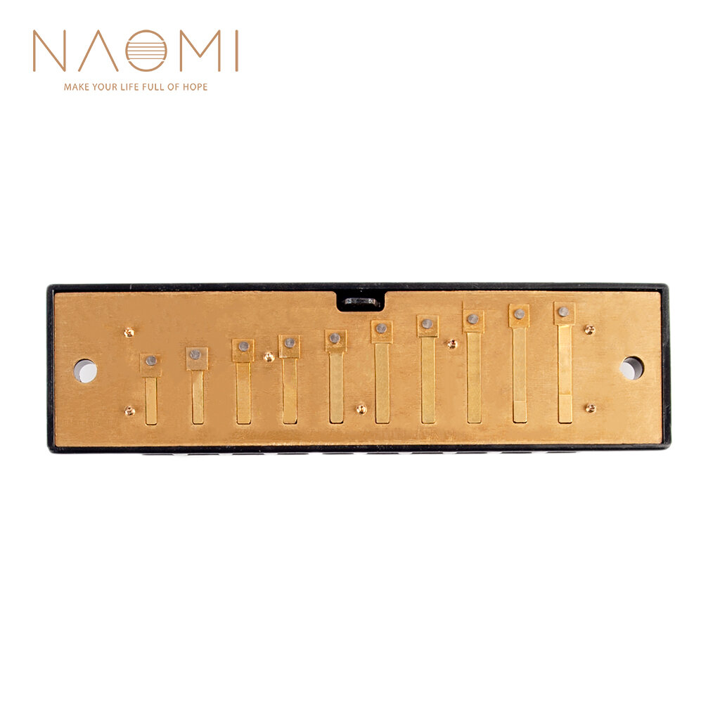 Naomi 10 Gaten Harmonica Riet Vervanging Rietplaten Sleutel Van C Messing Riet Onvoltooide Harmonica
