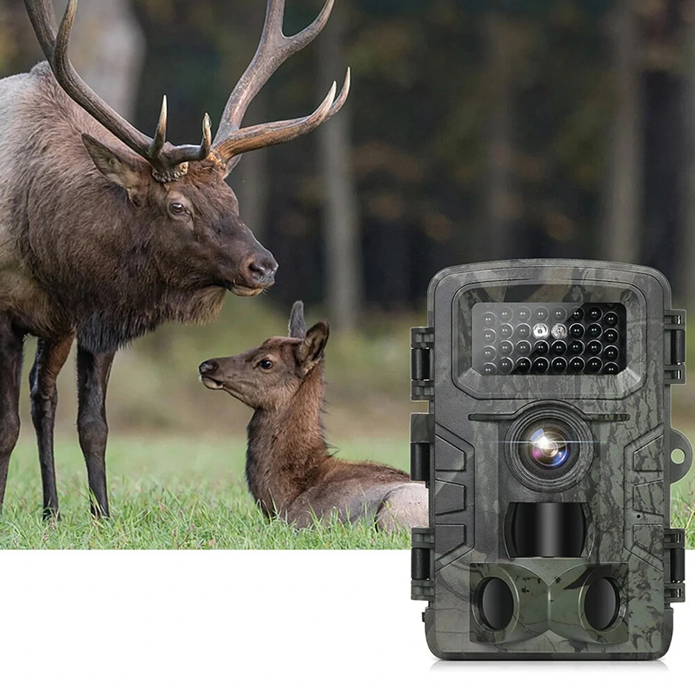 PR700 – você pode monitorar a vida selvagem com uma câmera de 16 megapixels