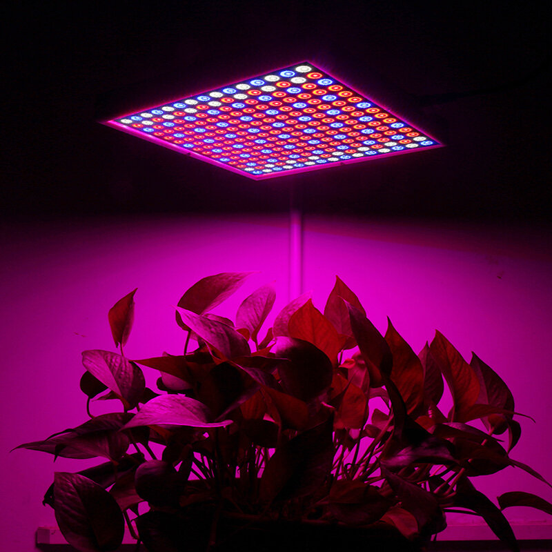 1200W LED Spectrum Grow Light Growing Lamp voor hydrocultuur kamerplant