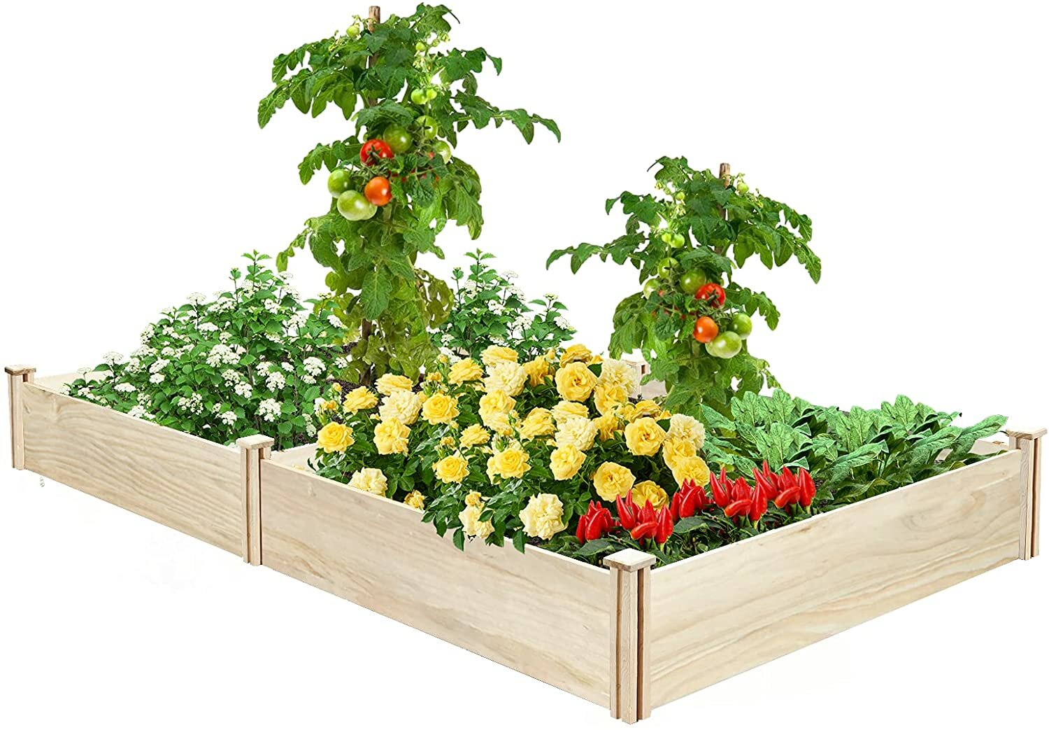 KingSo Verhoogd Tuinbed 8 × 4 × 1FT Houten Tuinbed Verhoogde Planter Box Outdoor Tuin Verhoogd Bed Kit voor Groentebloem Kruidentuinieren Achtertuin Patio Natuurlijk Hout