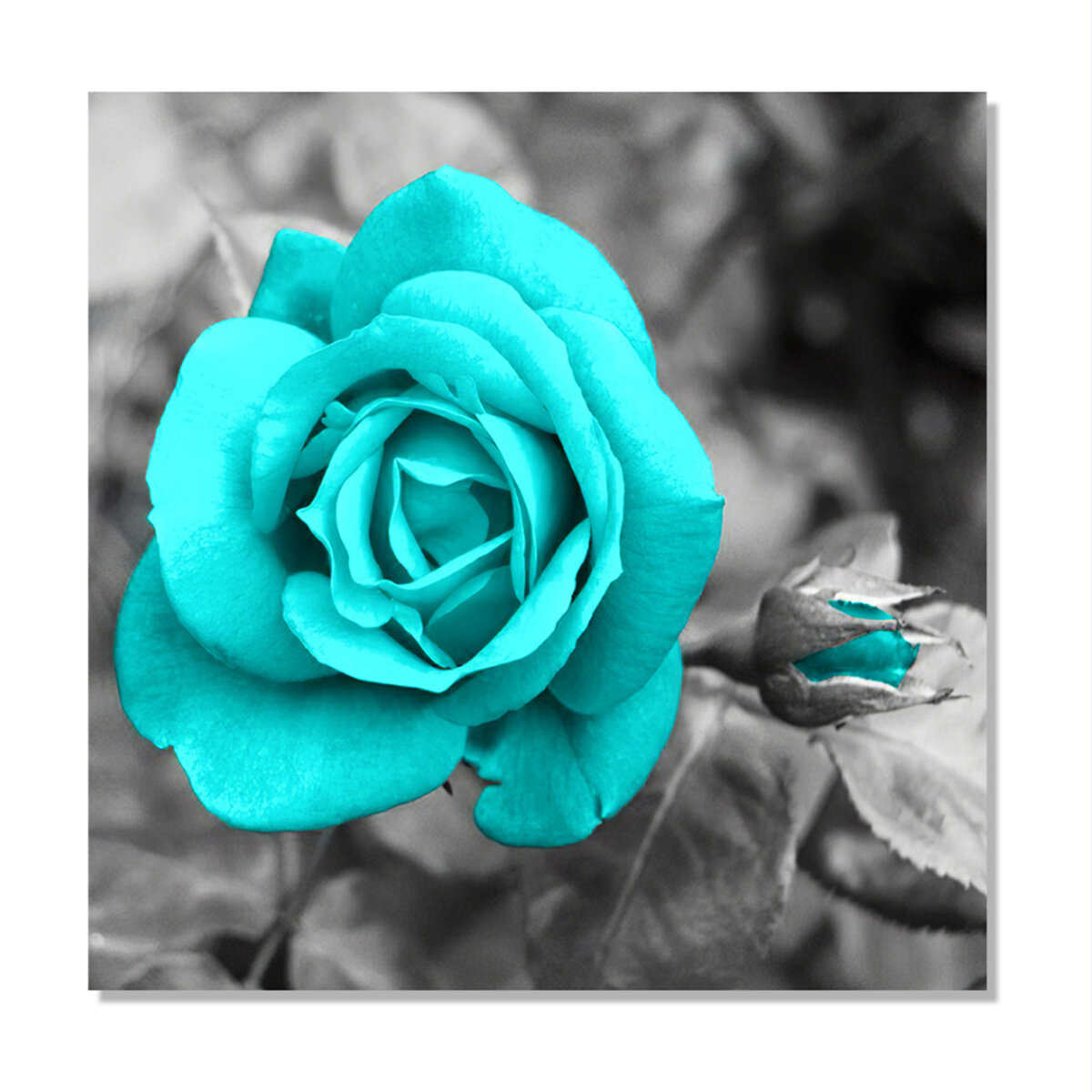 Blue Rose Canvas Painting Wall Decorative Print Art Pictures Unframed Wall Hanging Home Office Wall 