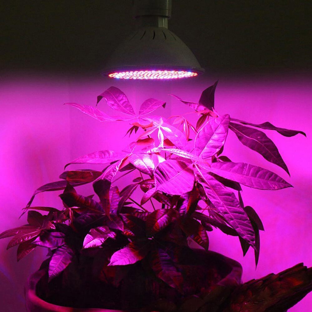 E27 100W LED-groeilicht 260LED Full Spectrum-plantenlamp voor bloemzaden