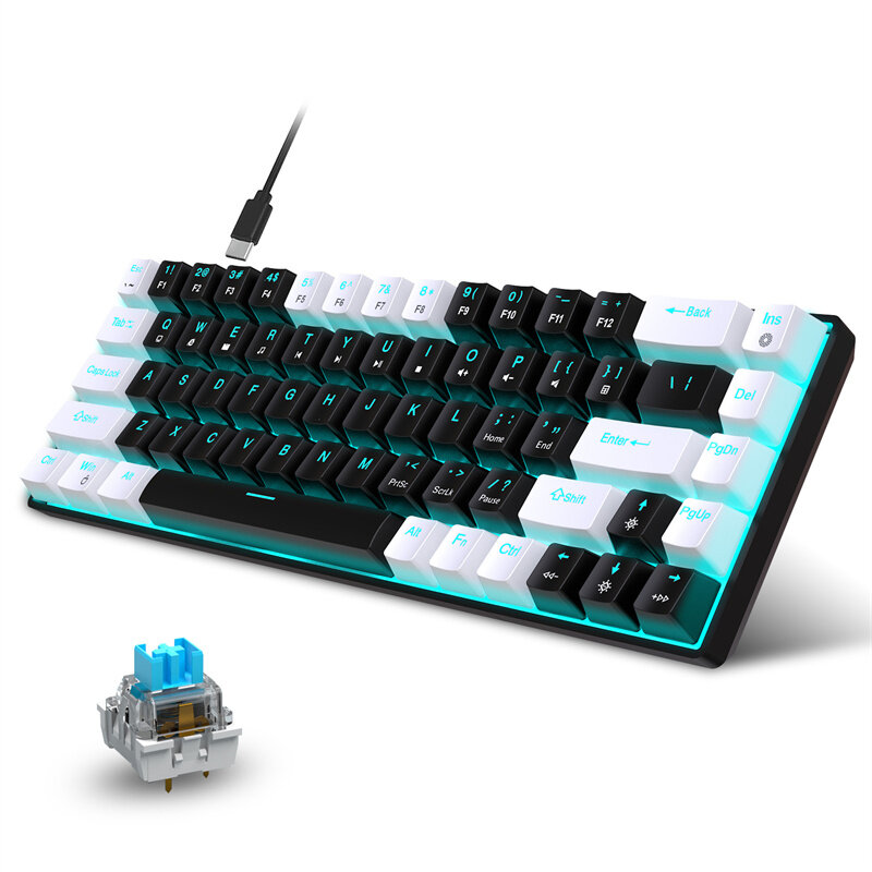 

HXSJ V800 68 Keys Wired Mechanical Gaming Keyboard Hot Swappable Blue Switch LED Backlit Type-C Ergonomics 65% Layout Ga