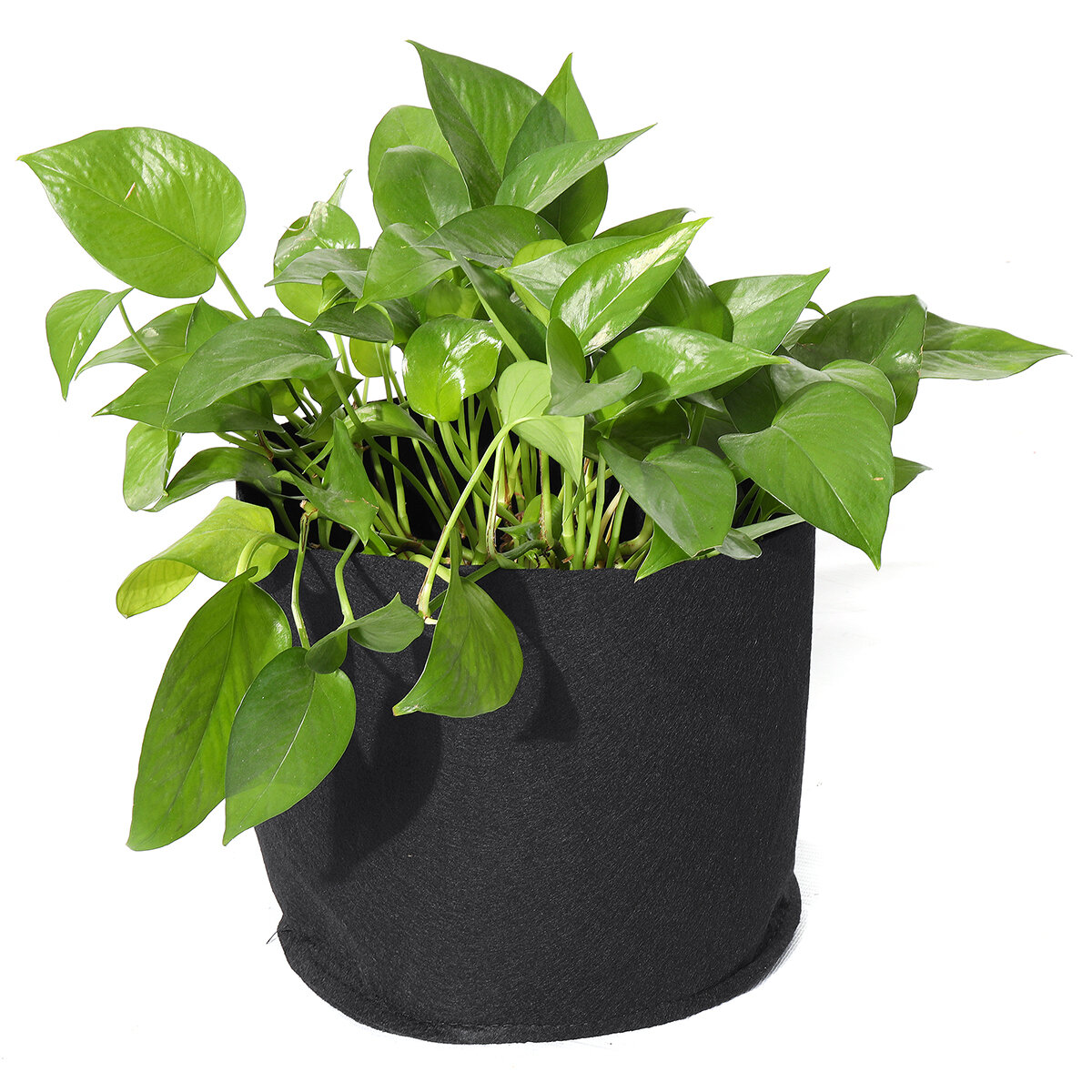 1-100Gallon Aardappel Plantzak Pot Planter Groeiende Tuin Groente Container