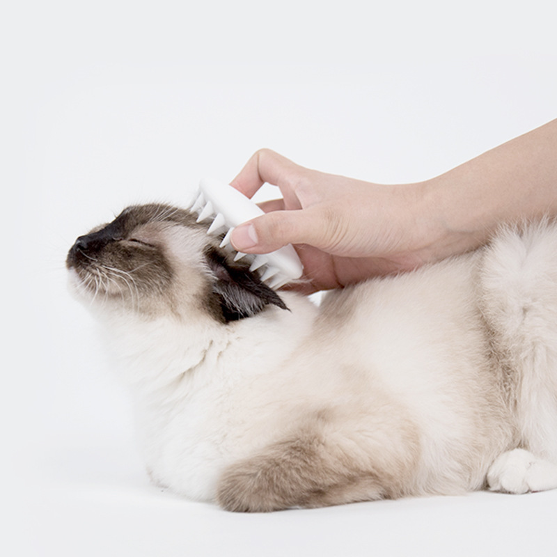 PETKIT Pet Cat Grooming Massage Apparaat Borstel van Kam Silicium met Soft Rubberen Haren Tool Ontha