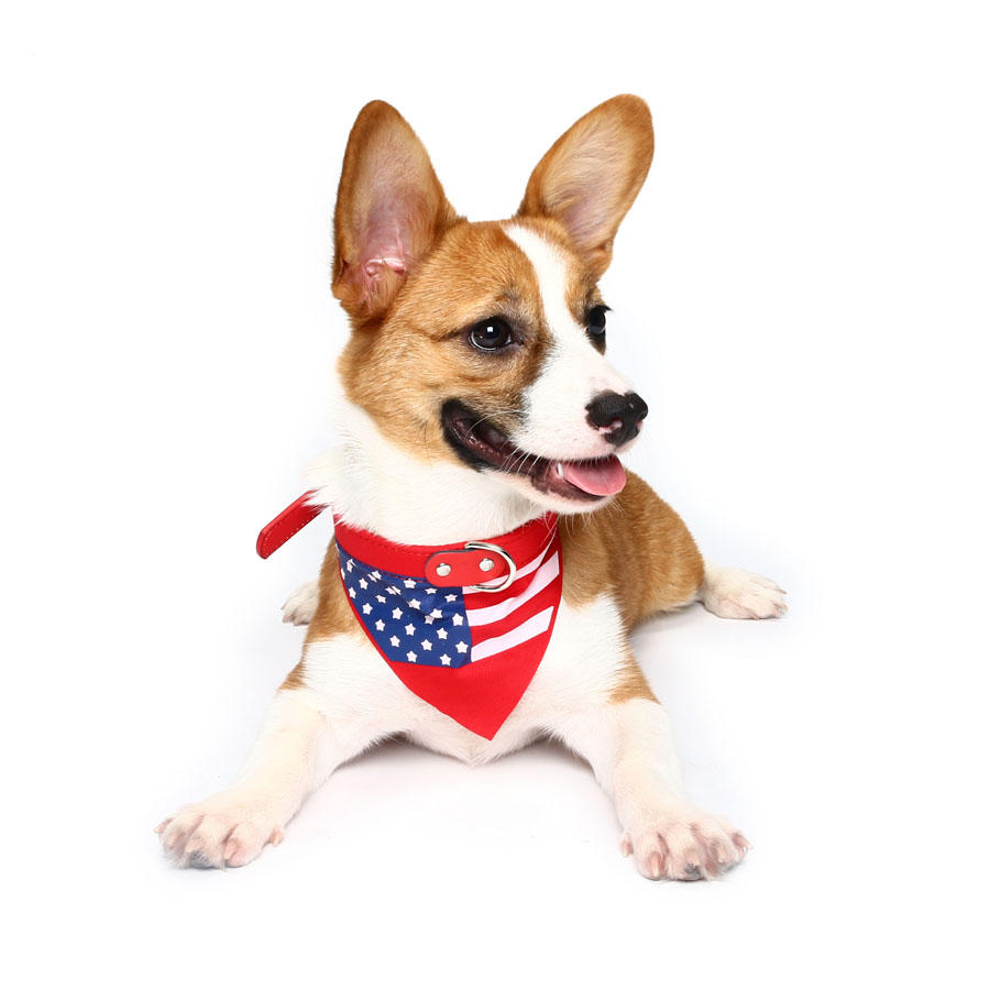 Yani HG-PLJ1 Pet Hond American Flag Collar Pet PU Canvas Decoratieve Cool Collar