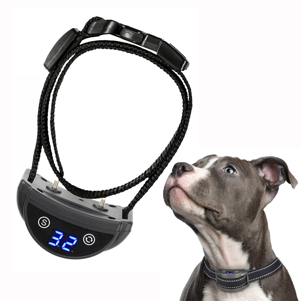 PaiPaitek PD 259B Rechargeable Shock Vibration No Bark Anti Barking Dog Collar Pet Training Collar-Black