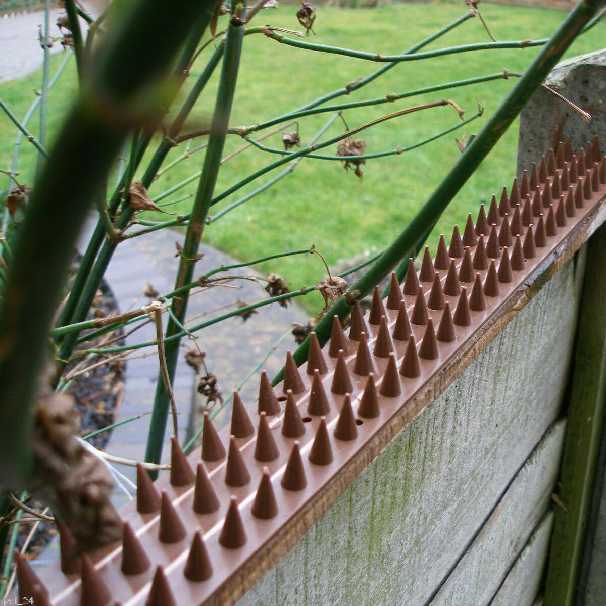 cat fence spikes
