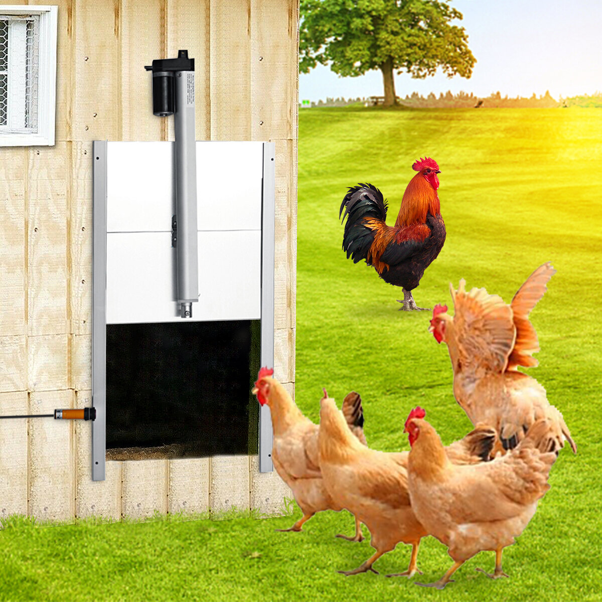 

110V-220V 66W Metal Automatic Chicken Coop Door Auto Opener Metal Cage Closer Timer infrared Pet Supplies