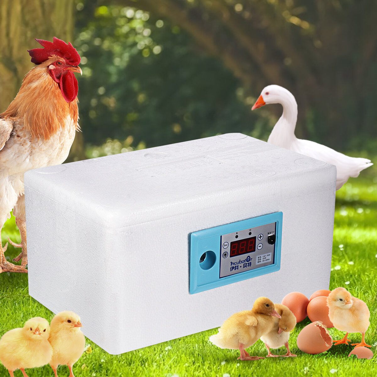 

Digital Temperature Control Egg Incubator Poultry Incubator Brooder Hatchery Egg Hatcher for Chicken Duck Bird Pigeon