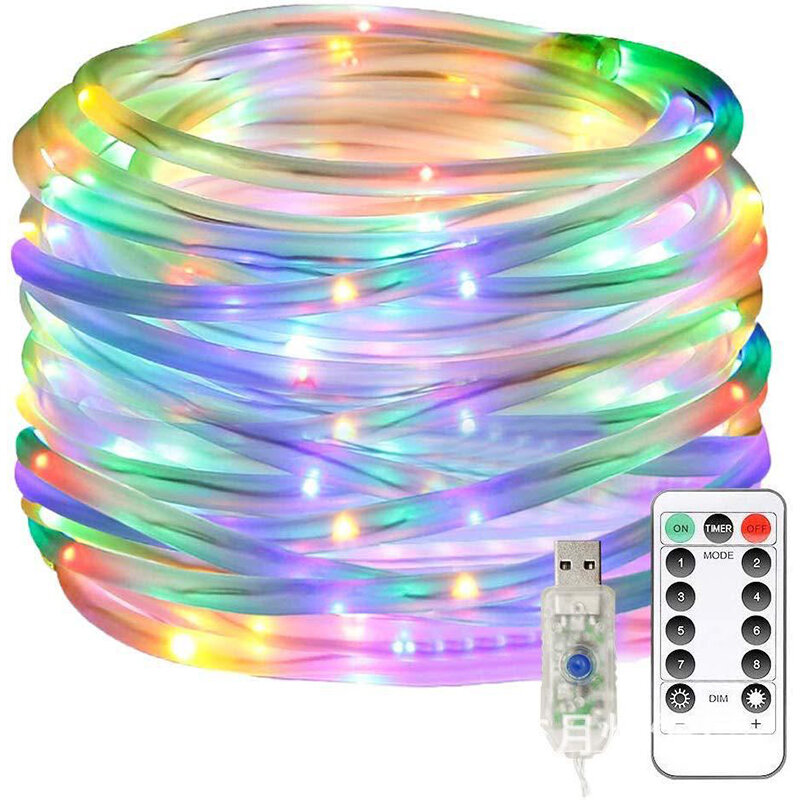 3M USB+Power Supply LED Matte Hose String Light Copper Wire Tube Strip Lamp Remote Control