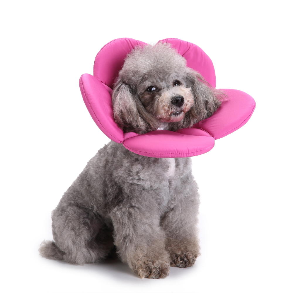 

Pet Collars Protective Hood Anti-Bite Anti-Scratch Neck Protection Pet Dog Collar
