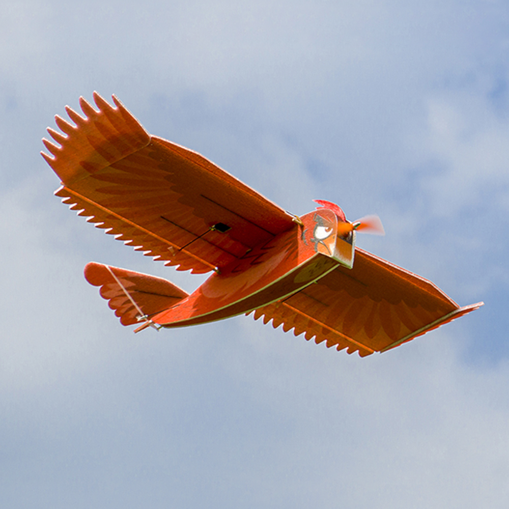 Dancing Wings Hobby Biomimetic Northern Cardinal 1170mm Spanwijdte EPP Schuim Slow Flyer RC Vliegtui