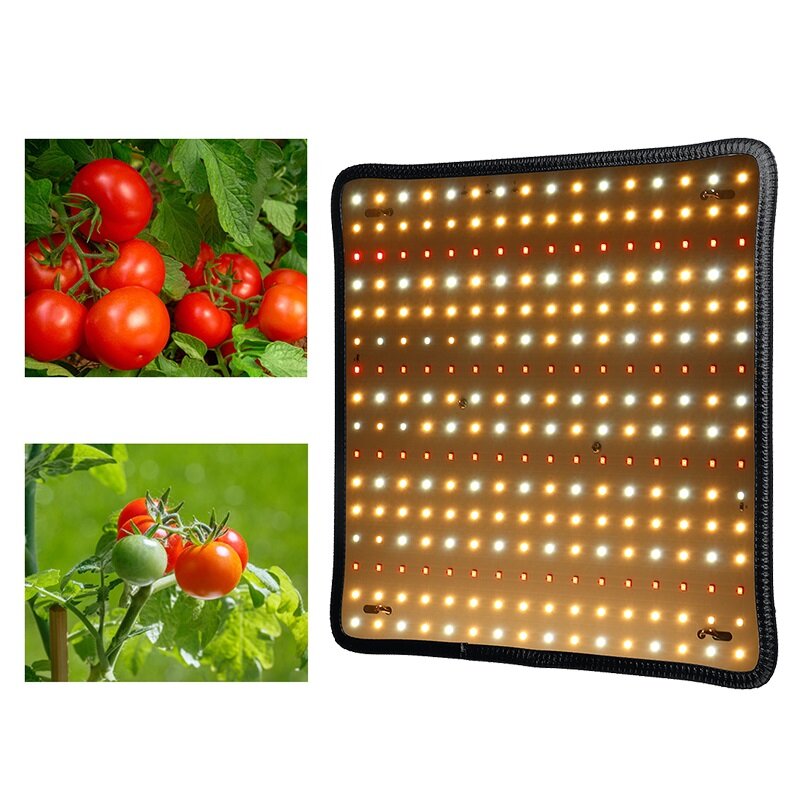 30 سم × 30 سم طيف 256 LED تنمو ضوء مصباح متنامي لمصنع زهرة الزراعة المائية