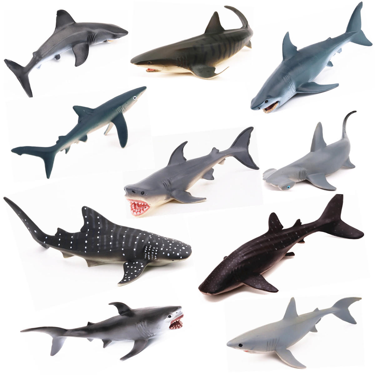 Realistische Ocean Animal Model Marine Animal Solid Whale Shark-serie Science Education Puzzle Toys