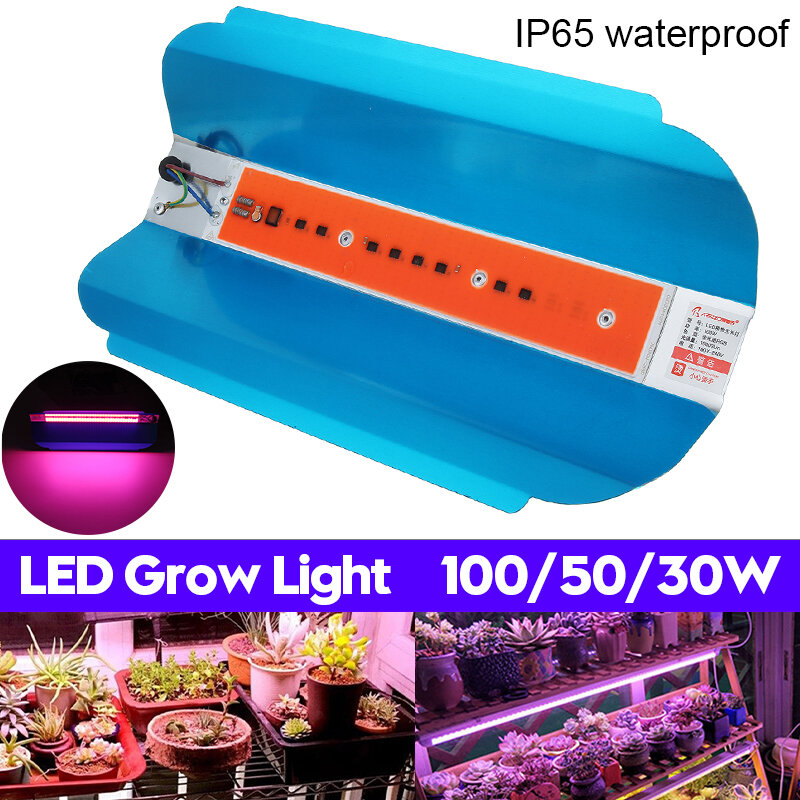 30W 50W 100W Full Spectrum COB LED Plant Grow Light Groeiende lamp Hydrocultuur Veg Flower AC220V