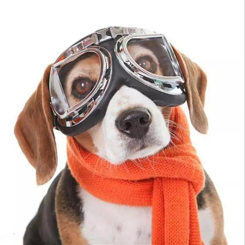 UV-bescherming Pet Cat Dog zonnebril Grote hondenbril Pet Cat Eyewear Opvouwbare zonwerende bril
