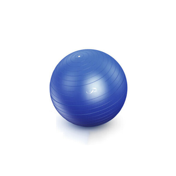 45cm Pilates Yoga Ball Soft Ball Gym Fitness Core Oefengereedschap + Luchtpomp