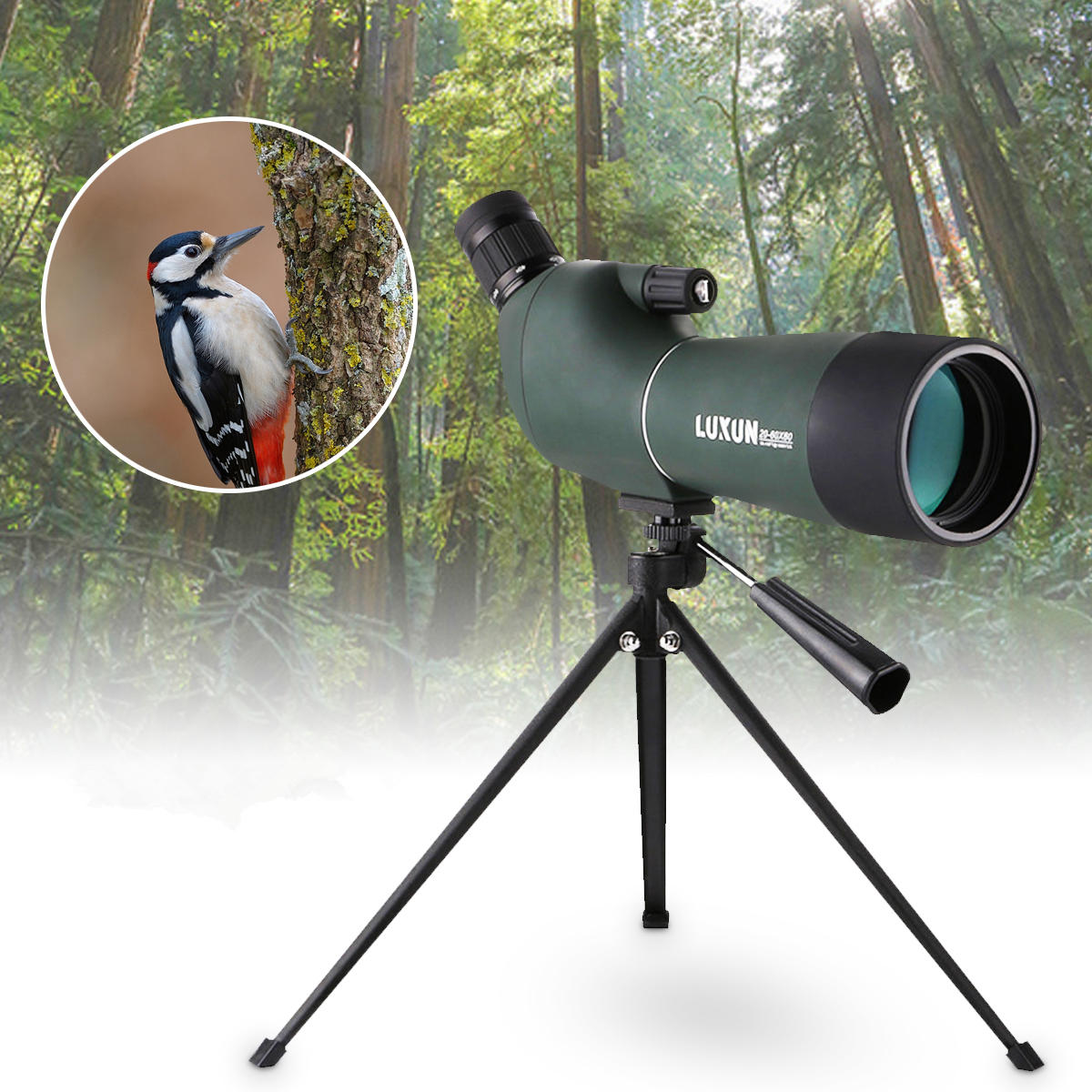 Telescópio monocular impermeável de zoom de 20-60x60mm para observação de aves com tripé.
