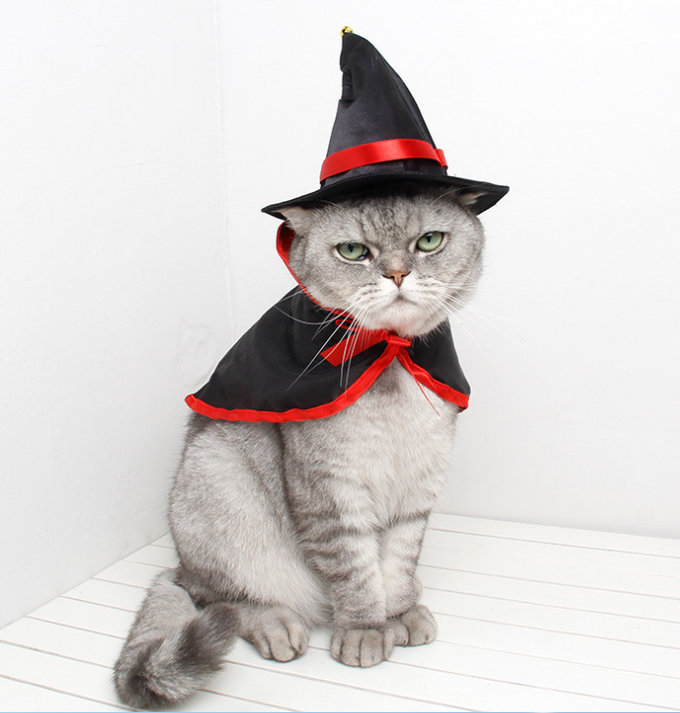 Halloween Costume Pet Cat Small Dog Vampire Hat Cape Cloak Halloween Cosplay Fancy Dress Costume for