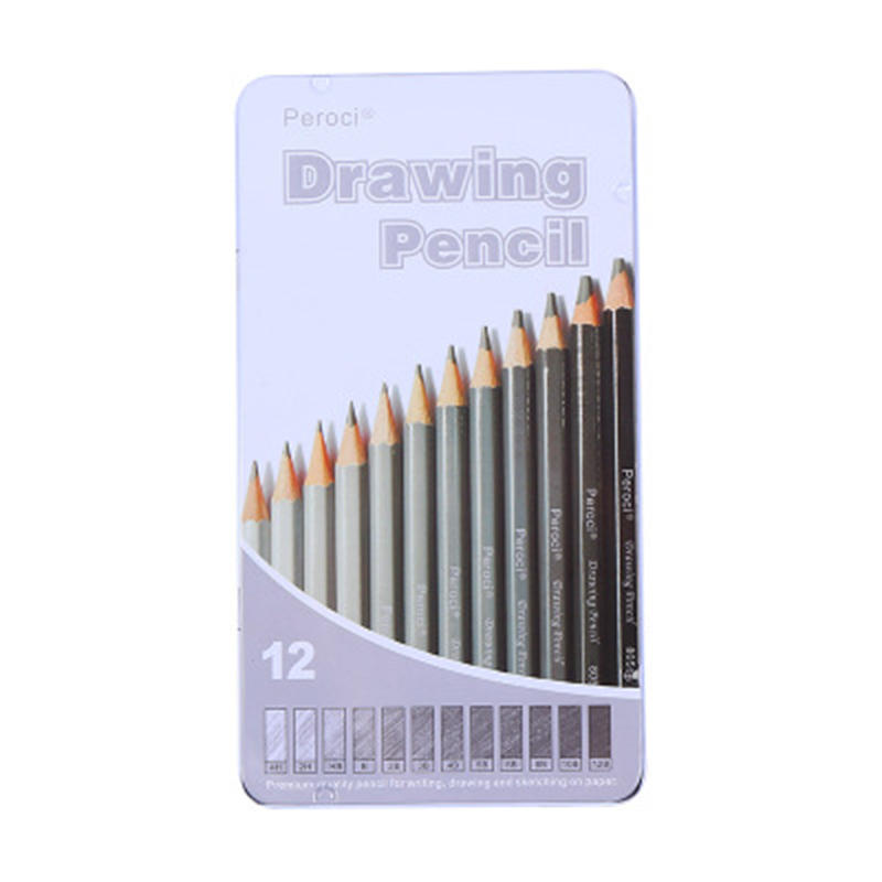 

12 Pcs Drawing Sketching Pencil Set Artist's Drawing Pencils Set for School Stationery Sketch Painting Carbon Pencil Art