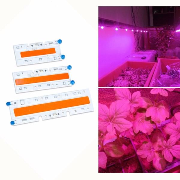 30 W / 50 W / 70 W High Power Volledige Spectrum LED Grow COB Light Chip voor Planten Groente AC110V