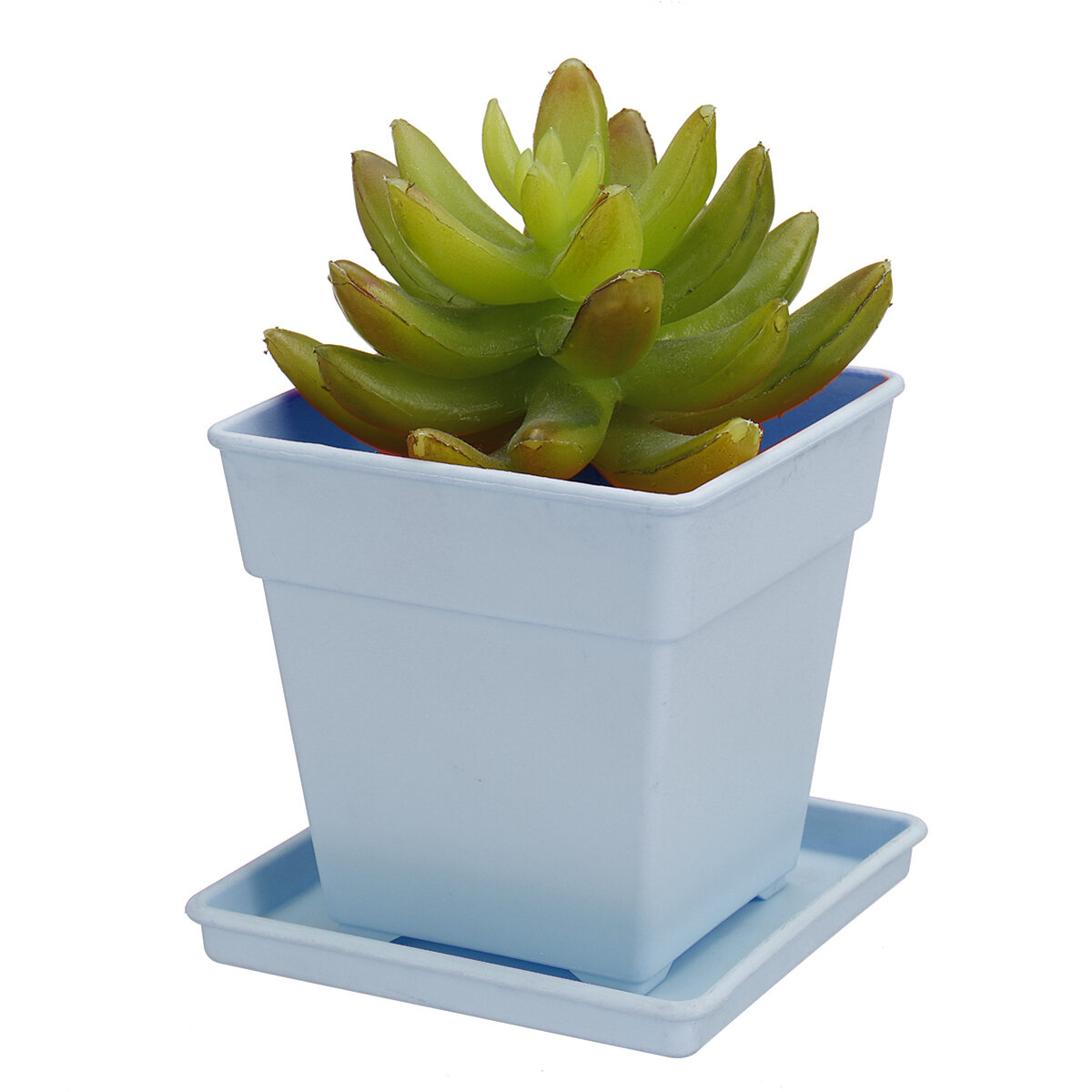 Tuin Desktop Cactus Vetplanten Plant Bloempot Plastic Ronde Potten