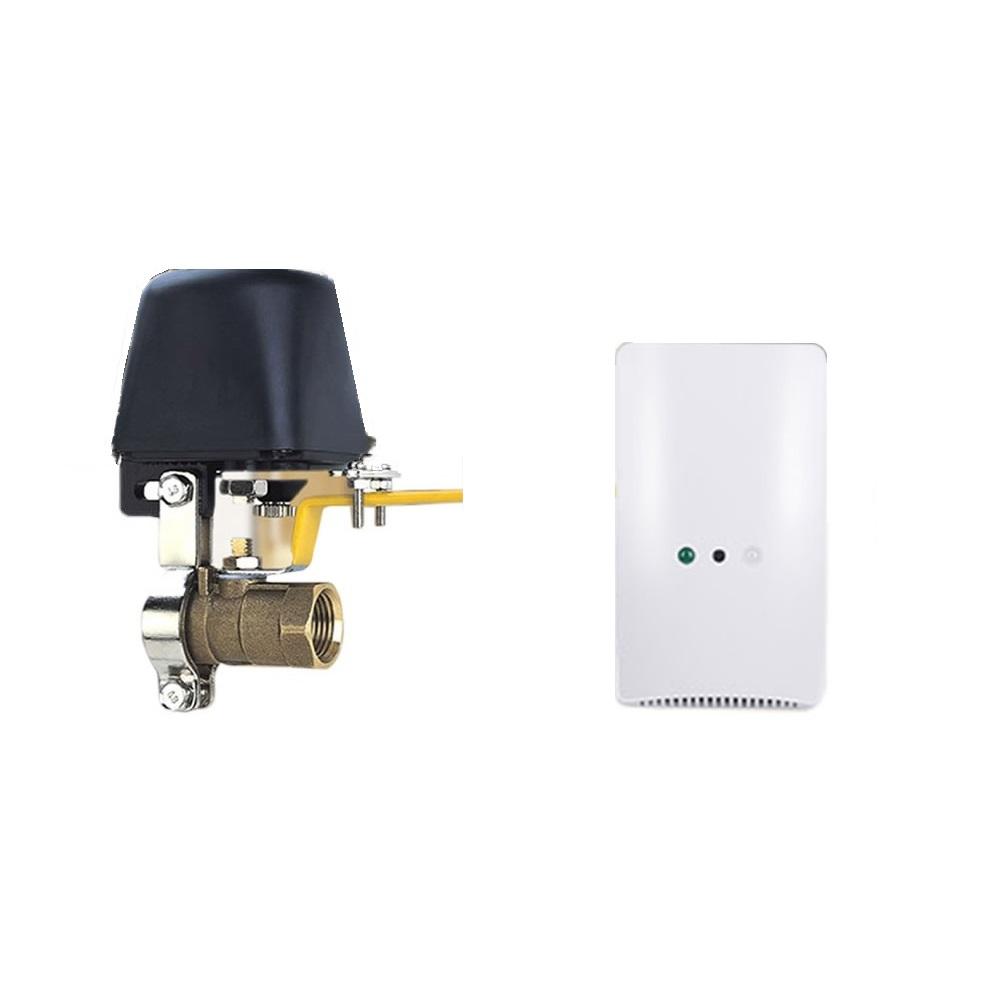 eWeLink TUYA Smart WiFi Switch for GW-RF Water Valve Controller Home Automation System Gas Control Valve Work with Alexa