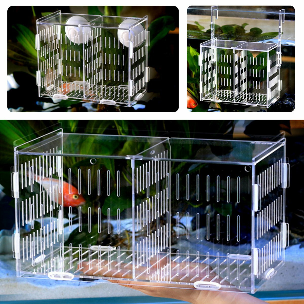 LargeAquarium Acrylic Box Isolation Incubator Breeding Fish Tank Breeder Hatching Hanging