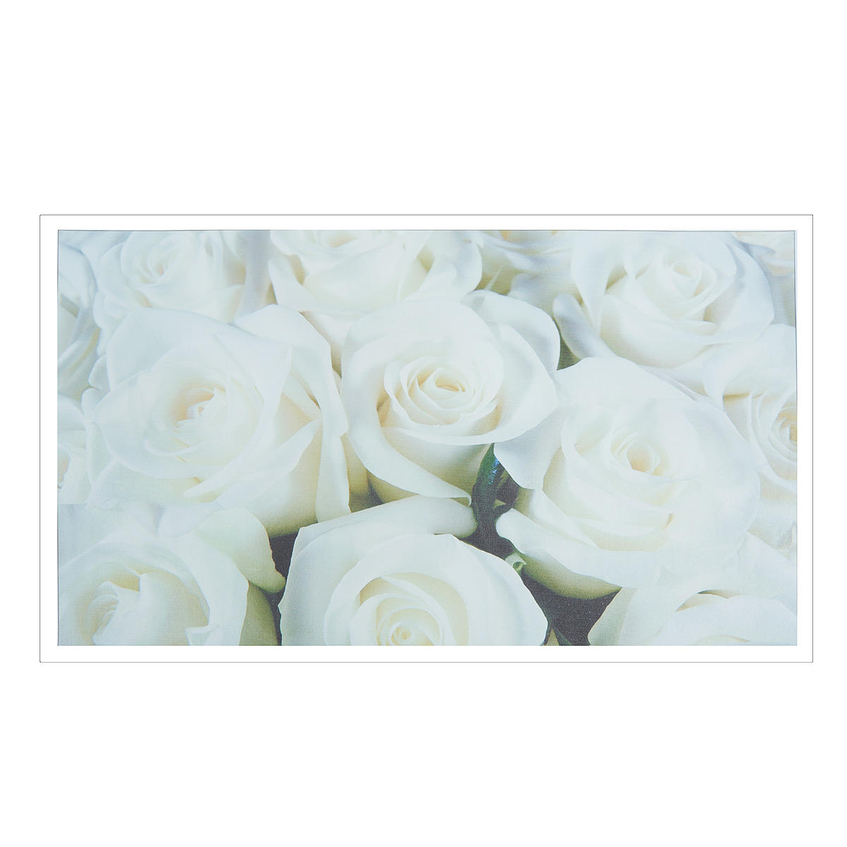 Unframed Modern Flower White Rose Canvas Picture Poster Paintings Art Wall Decorations