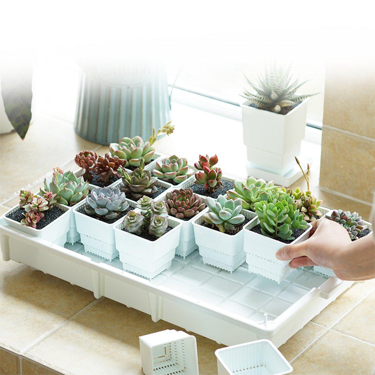 

PP Plant Tray Succulents Seedling Drain Balcony Growing Holder Nursery Garden Decorations