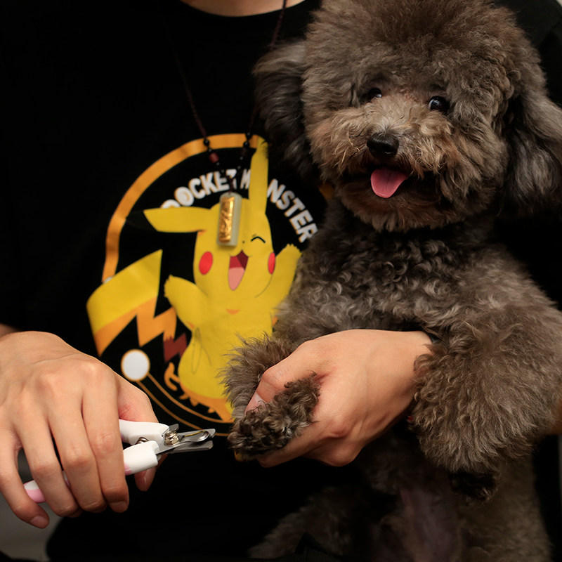 Pet Nagelknipper Roestvrijstalen professionele trimmer voor hondenkattenverzorgingstool