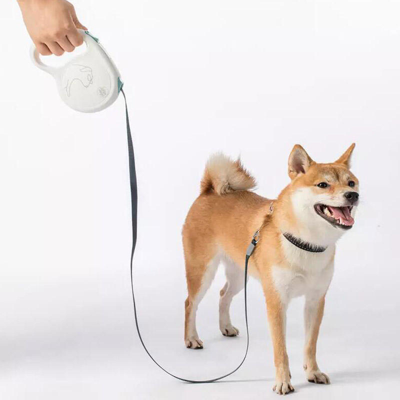 Jordan & Judy 5 m uitschuifbare hondenriem touw van hond trekkabel verstelbare puppy ketting 85 kg v