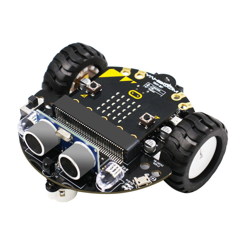 Yahboom Tiny: bit Inexpansive Educatieve Smart Robot Car Kit met Alligator Clip Interface voor Micro