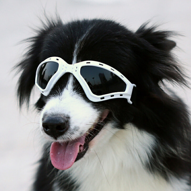 NAMSAN Huisdieraccessoires Zonnebrillen Goggles Opvouwbare Winddichte Zonnebrandbril In Grote Honden