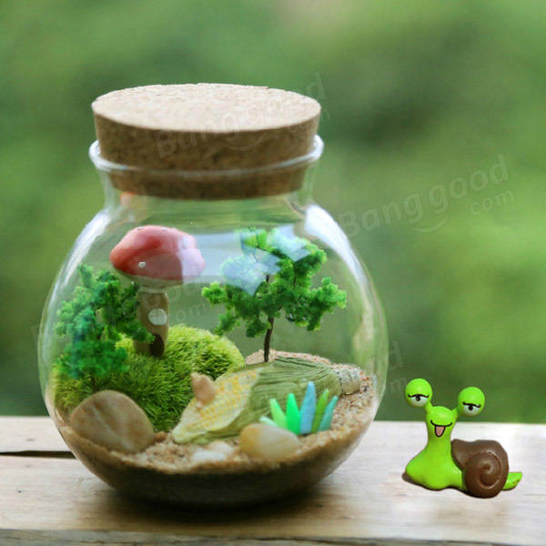 

Moss Succulent Plants Micro Landscape Vase Eco Glass Bottle Home Decor